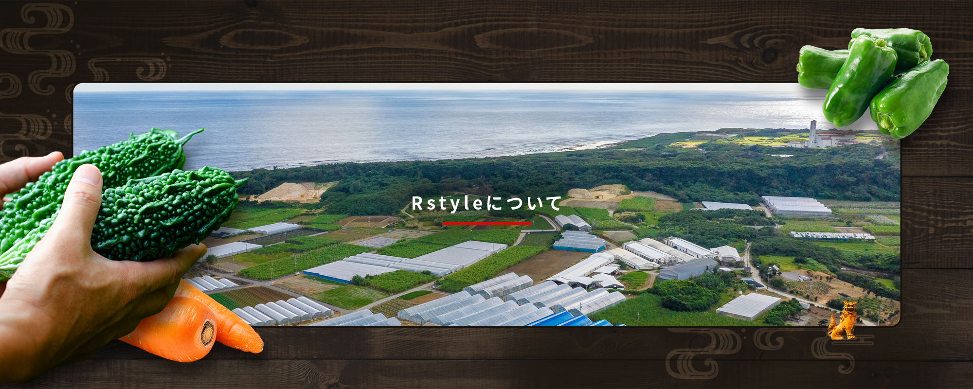 Rstyleについて