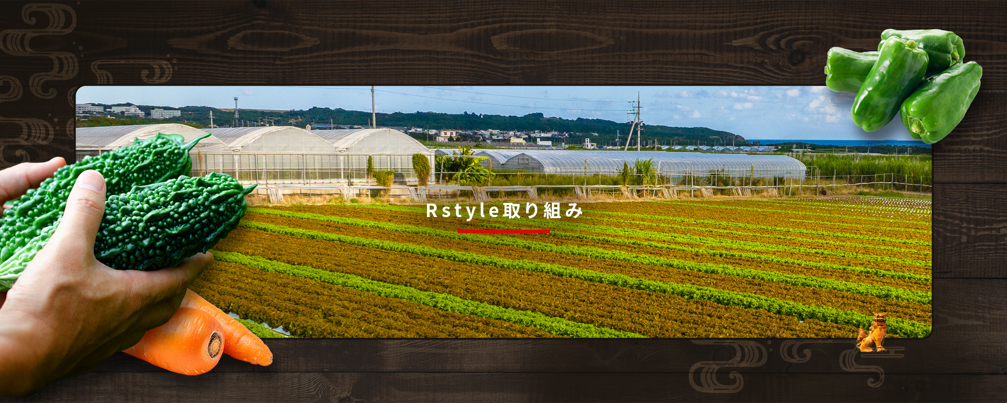 Rstyle取り組み