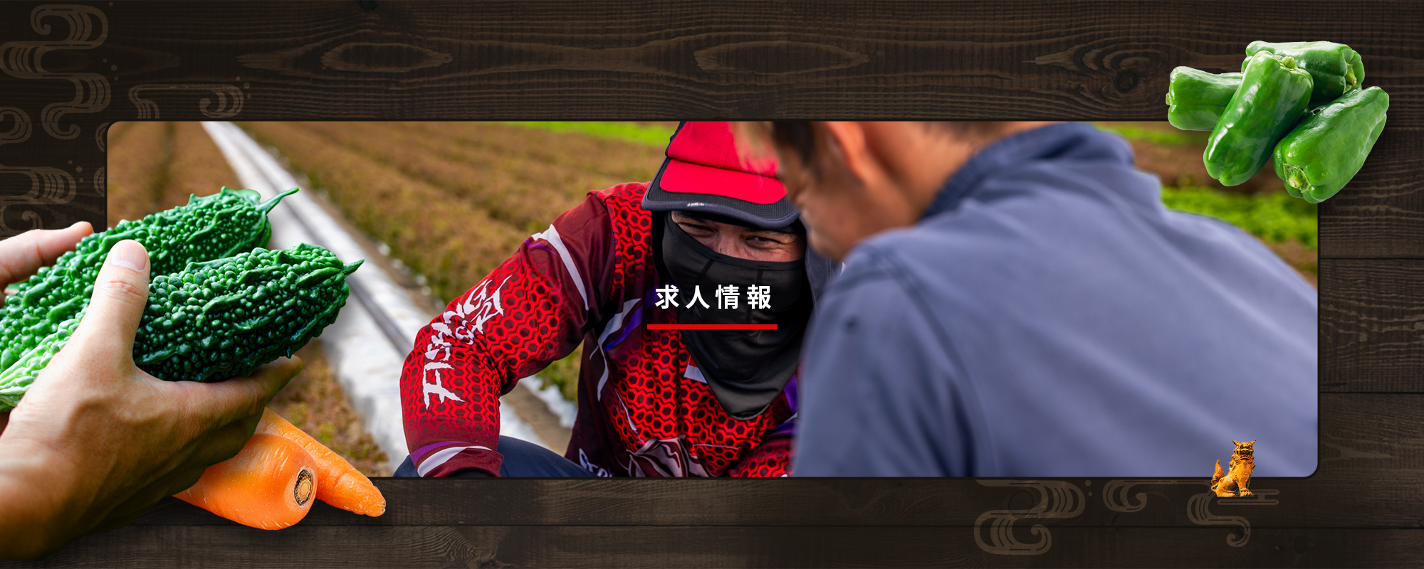 求人情報
