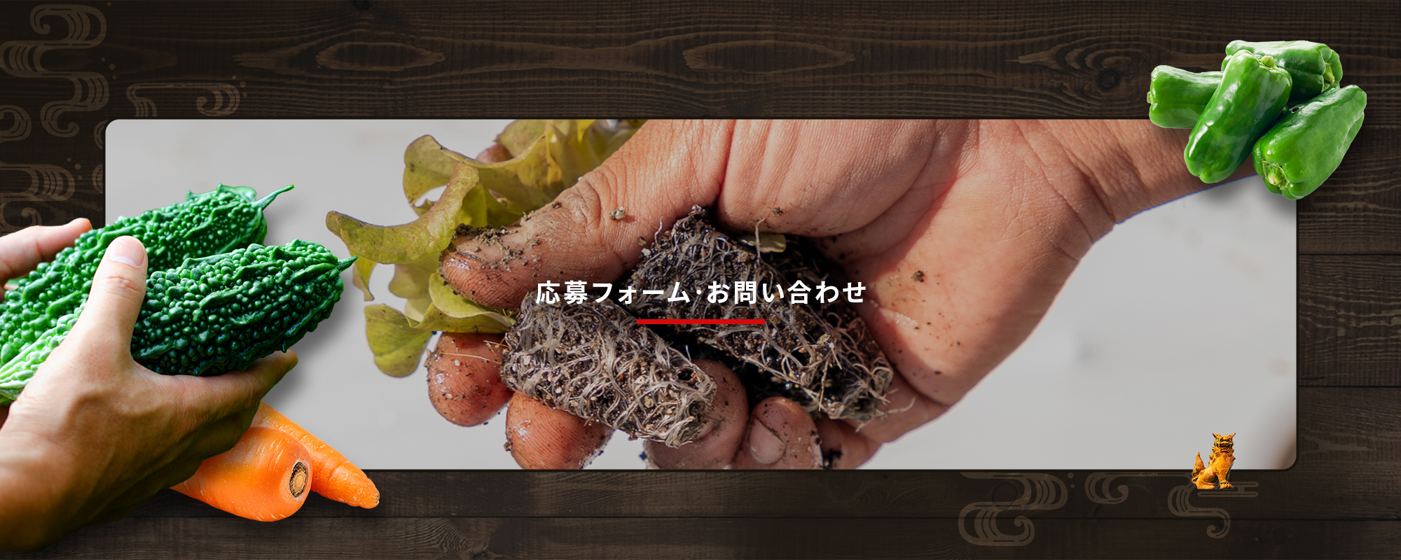 応募フォーム/お問い合わせ